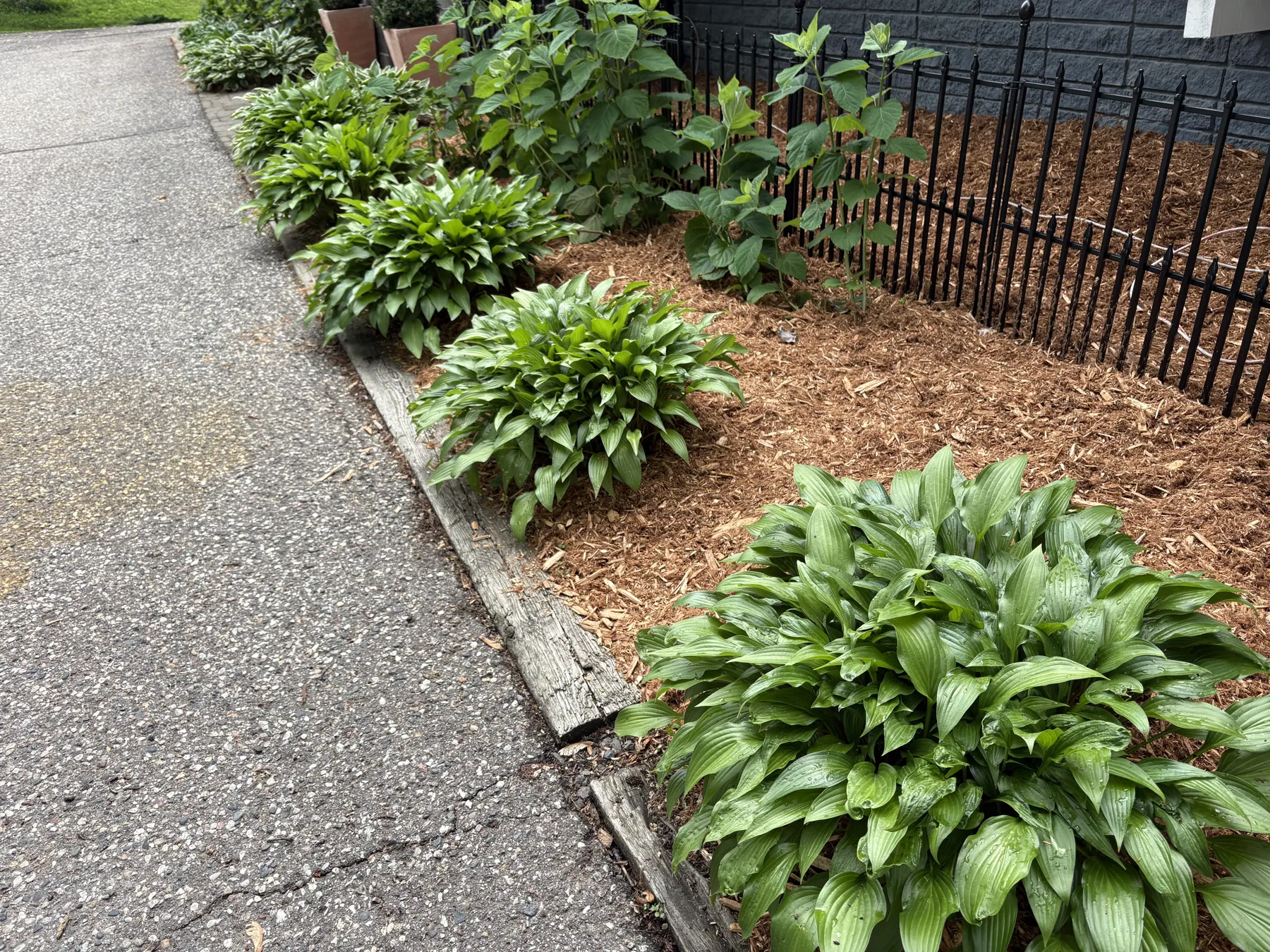 Foundation bed refresh