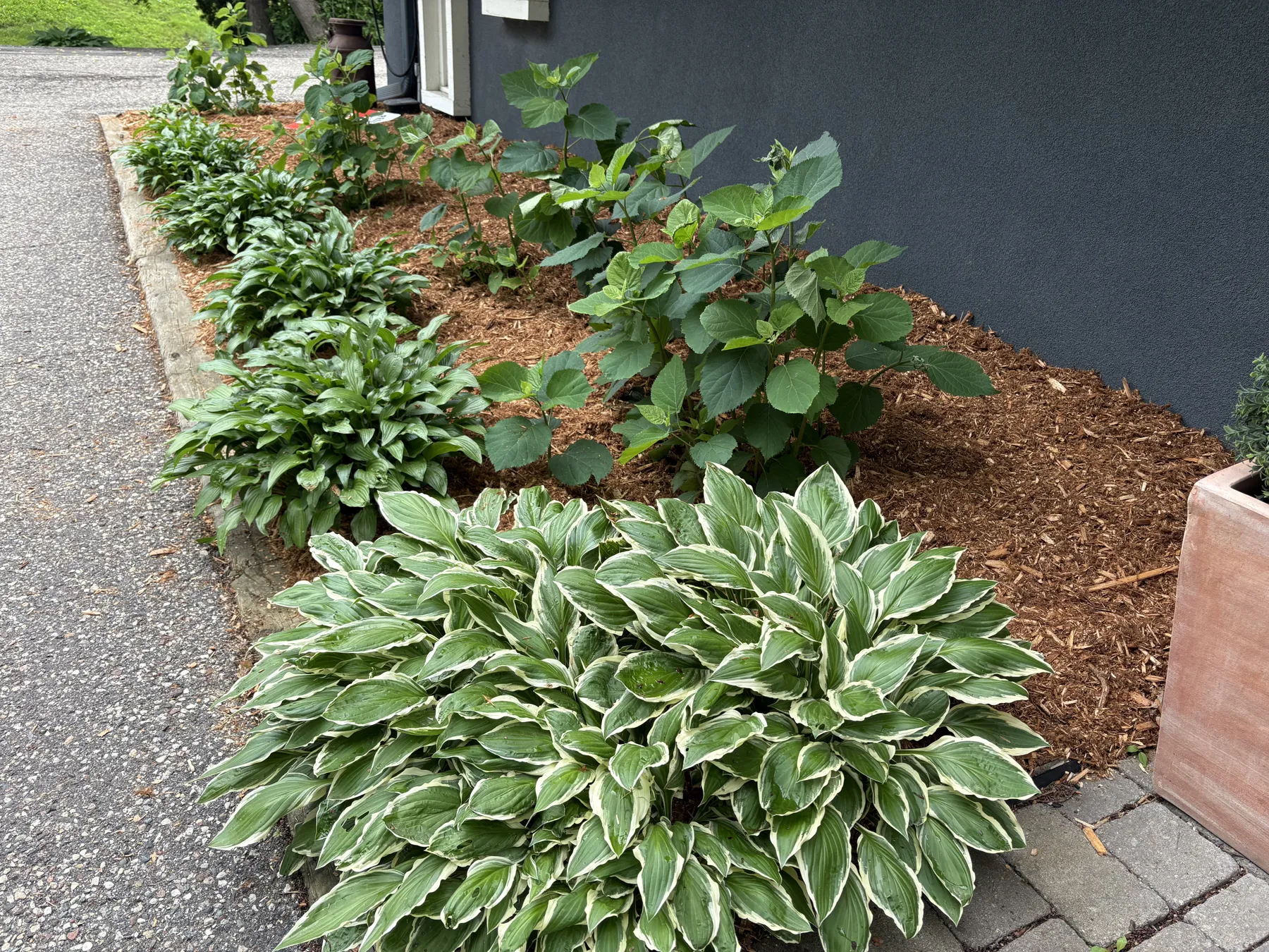 Narrow foundation bed refresh