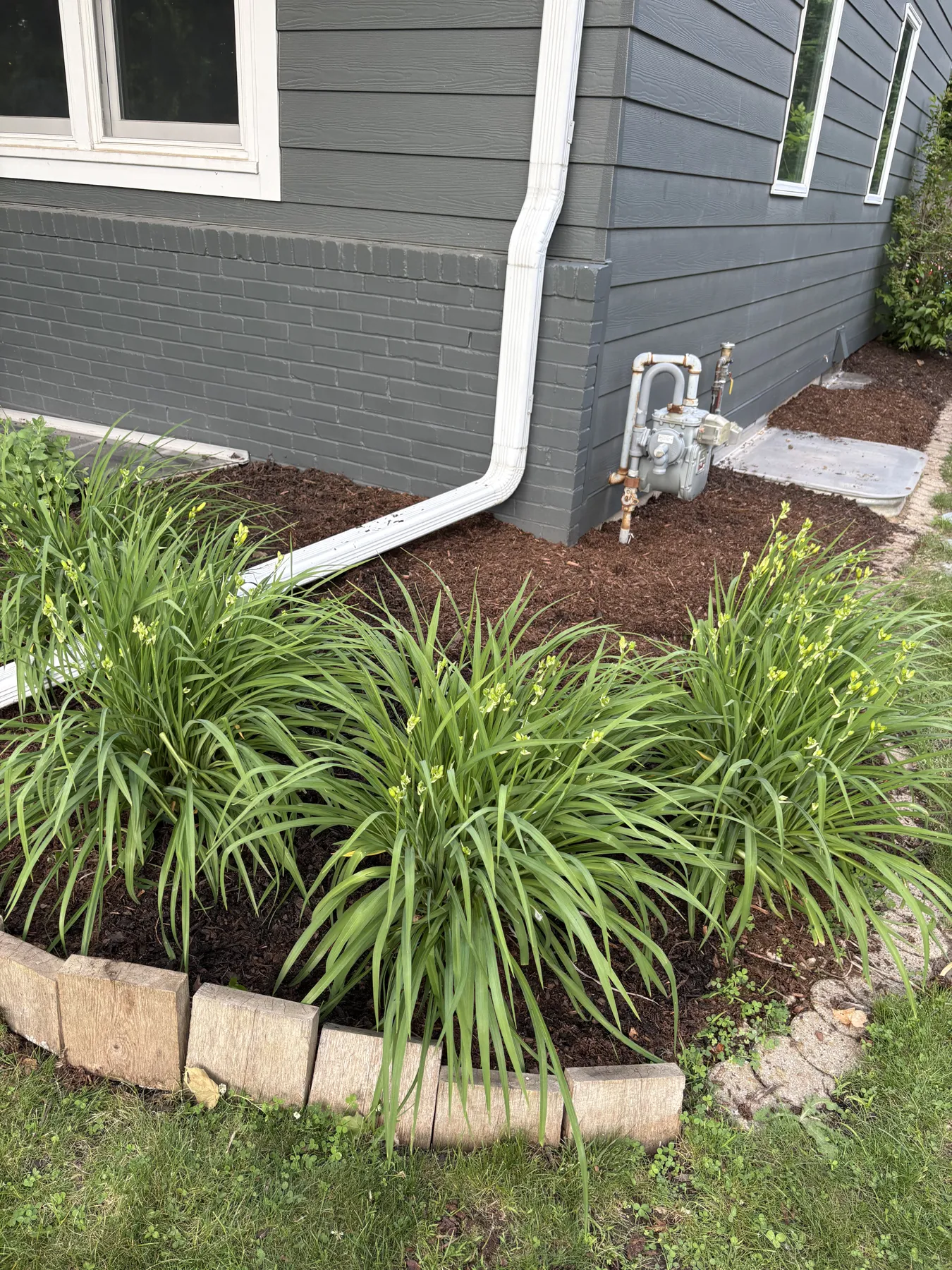 Foundation corner refresh
