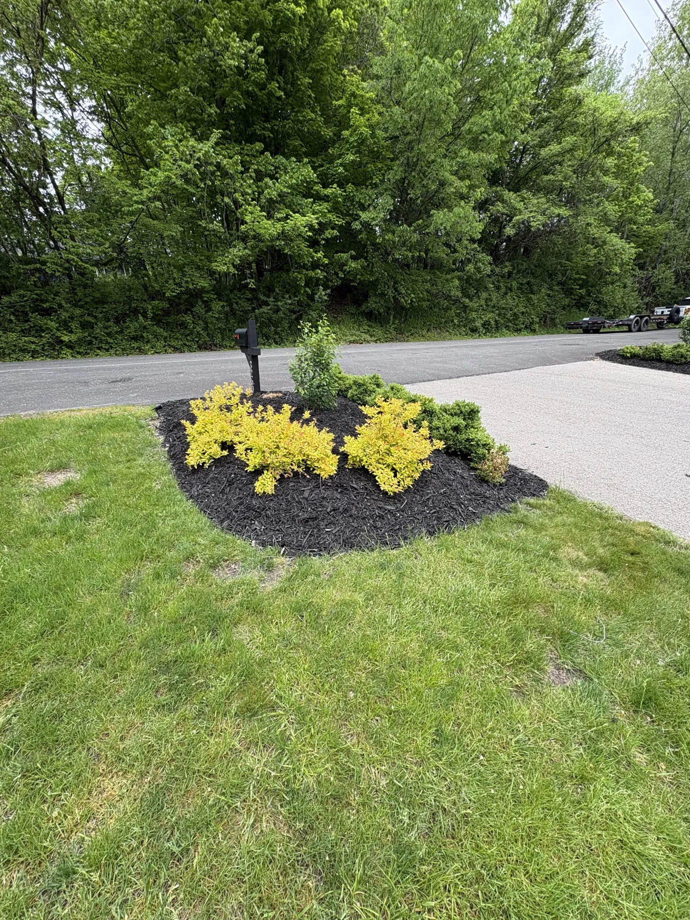 Front island bed refresh