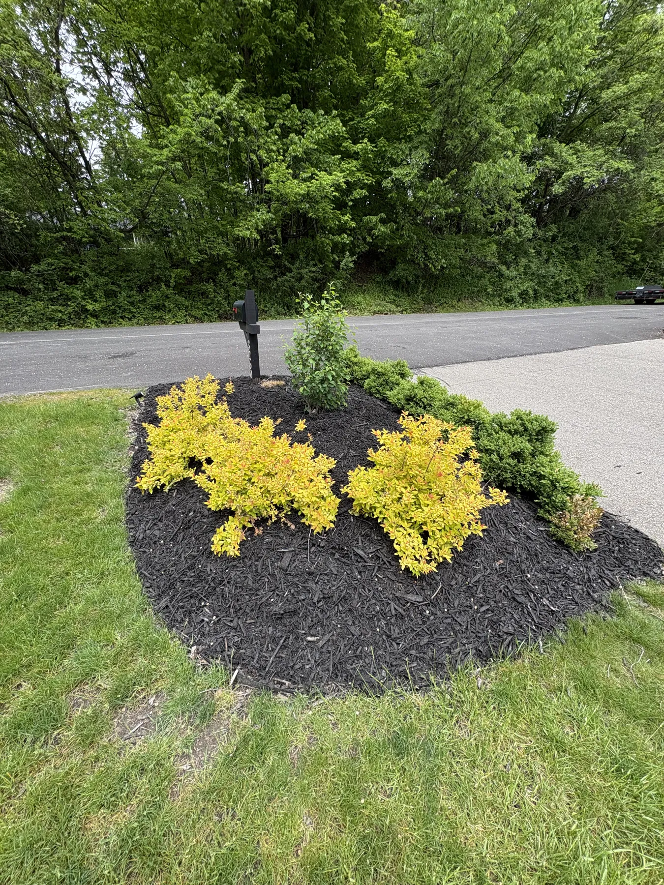 Front island bed refresh